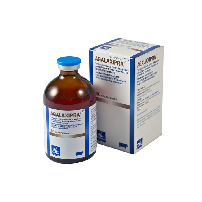 Agalaxipra_asisi-01