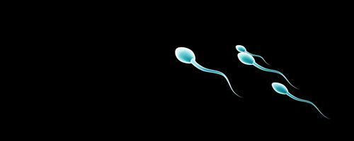 genetikon-sperma-kat1