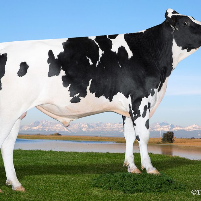 PEAK AltaFANTASTIC-ET